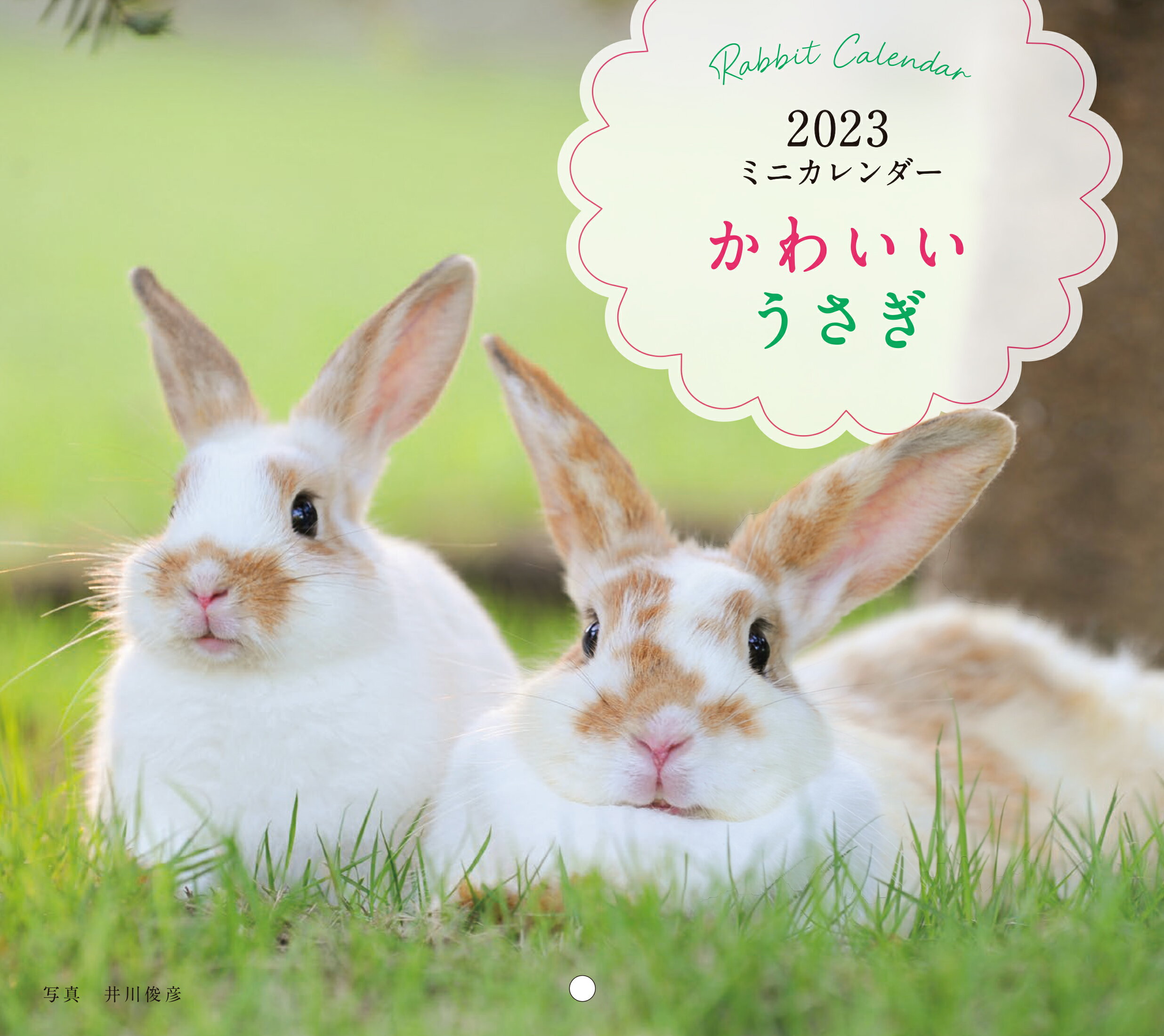 楽天市場】アクティブコーポレーション Sweet Rabbit うさぎ 2023 Calendar 壁掛けカレンダー2023年 スケジュール  アクティブコーポレーション 動物写真 書き込み インテリア 令和5年暦 | 価格比較 - 商品価格ナビ