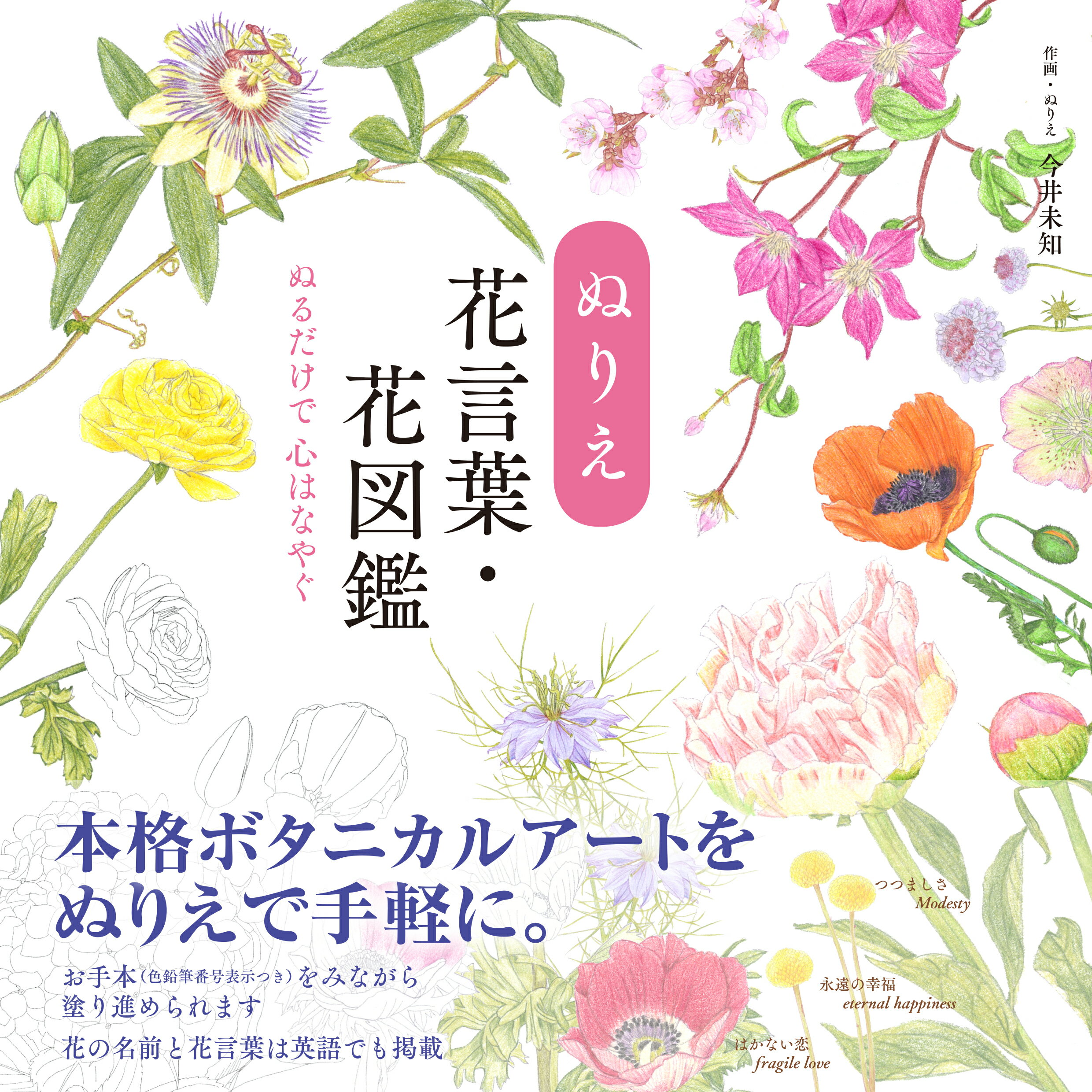 楽天市場 自由国民社 ぬりえ花言葉 花図鑑 ユ キャン 今井未知 価格比較 商品価格ナビ