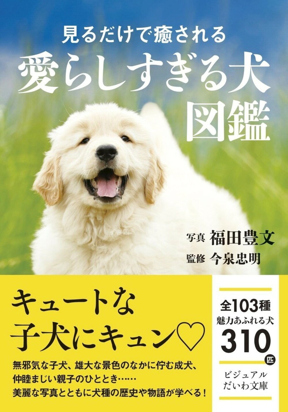 楽天市場 誠文堂新光社 最新世界の犬種大図鑑 原産国に受け継がれた犬種の姿形430種 増補改訂 誠文堂新光社 藤田りか子 価格比較 商品価格ナビ 楽天市場 誠文堂新光社 最新世界の犬種大図鑑 原産国に受け継がれた犬種の姿形430種 増補改訂 誠文堂新光社 藤田りか子 価格比較 商品価格ナビ
