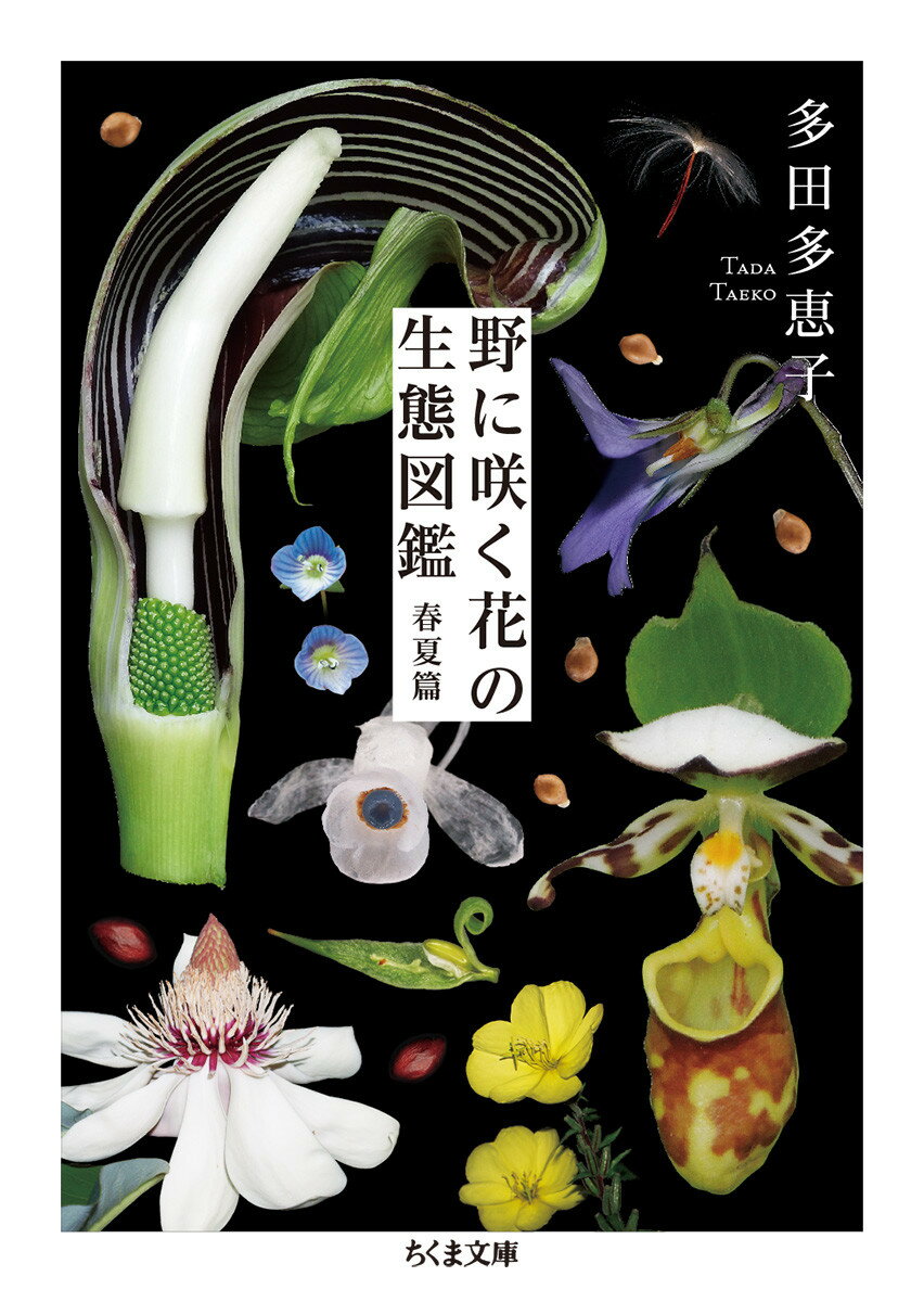 楽天市場 山と渓谷社 もっと美しき小さな雑草の花図鑑 山と渓谷社 大作晃一 価格比較 商品価格ナビ