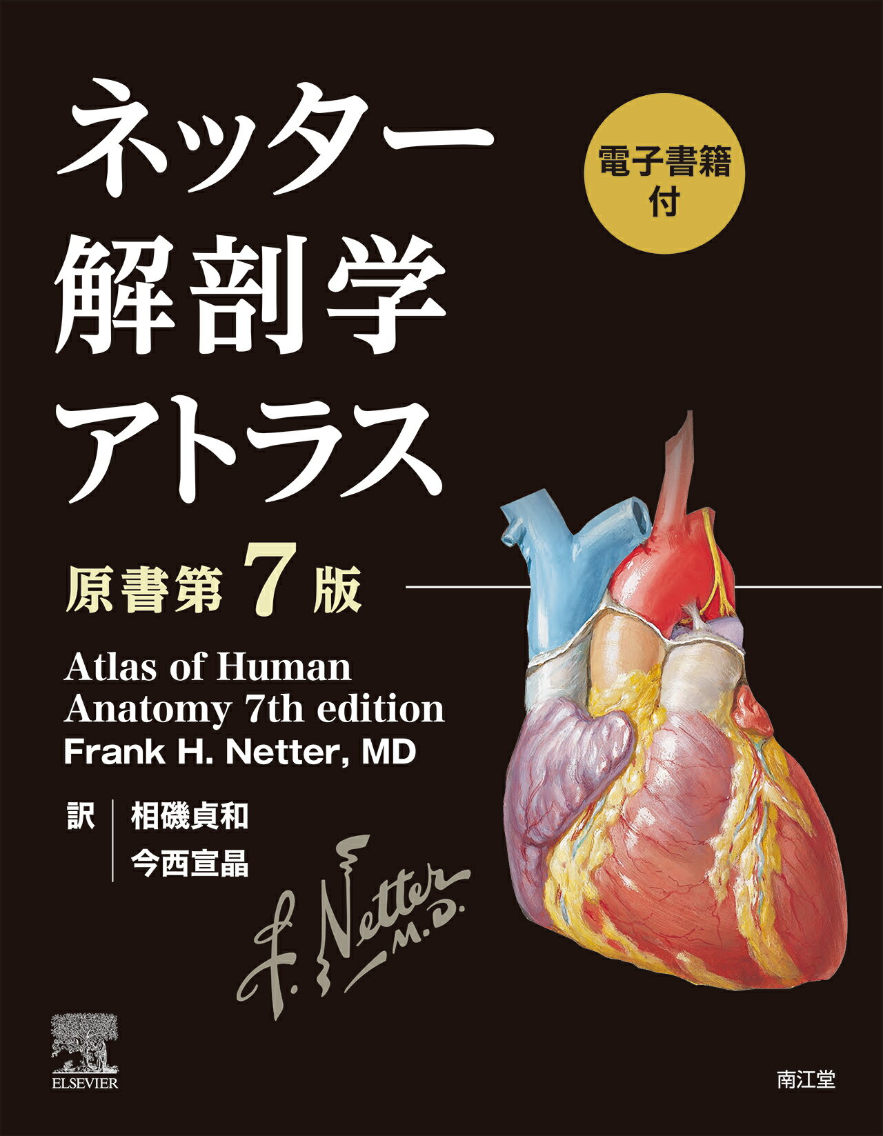 楽天市場】南江堂 ネッター解剖学アトラス 電子書籍付 原書第７版