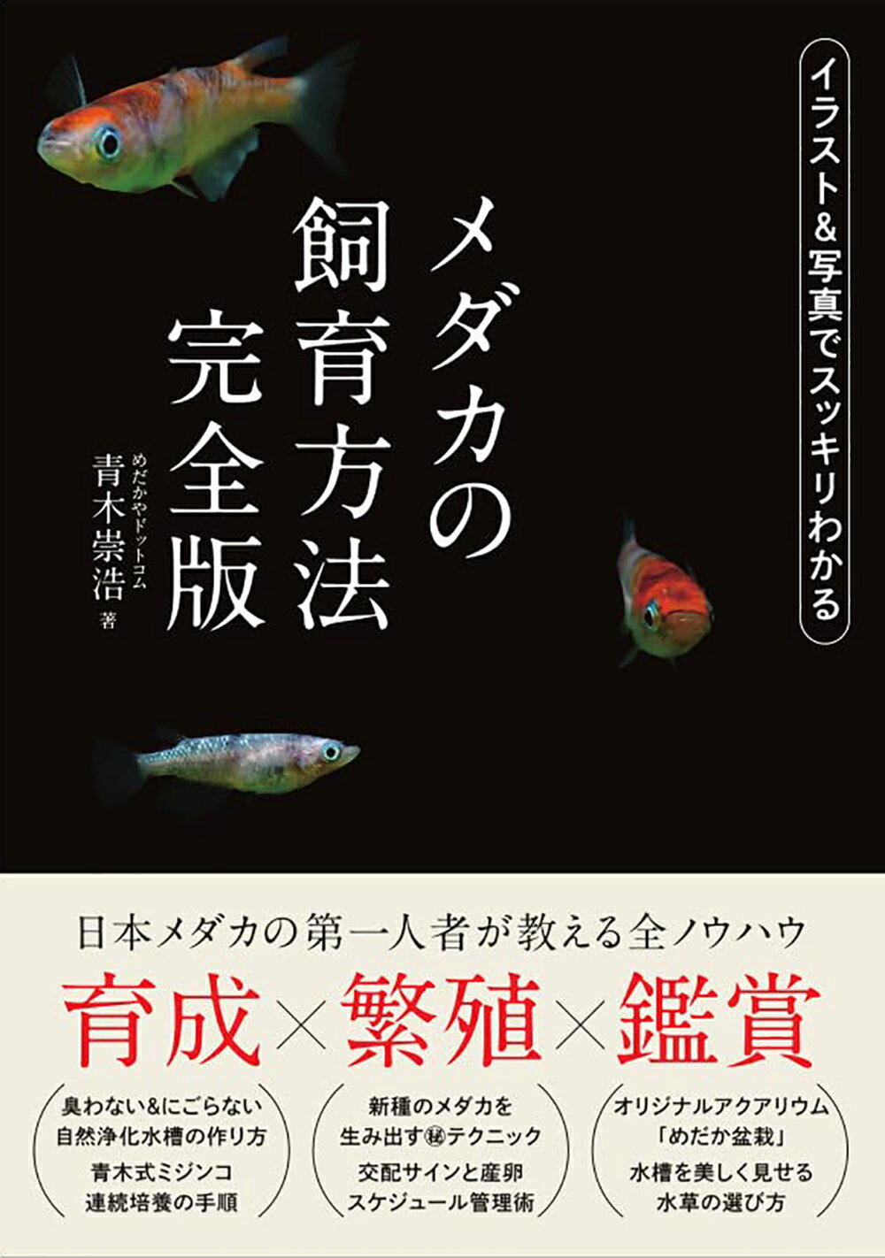 楽天市場】誠文堂新光社 ザ・プレコ 吸いつきナマズの飼育と楽しみ方/誠文堂新光社/竹本賢司 | 価格比較 - 商品価格ナビ