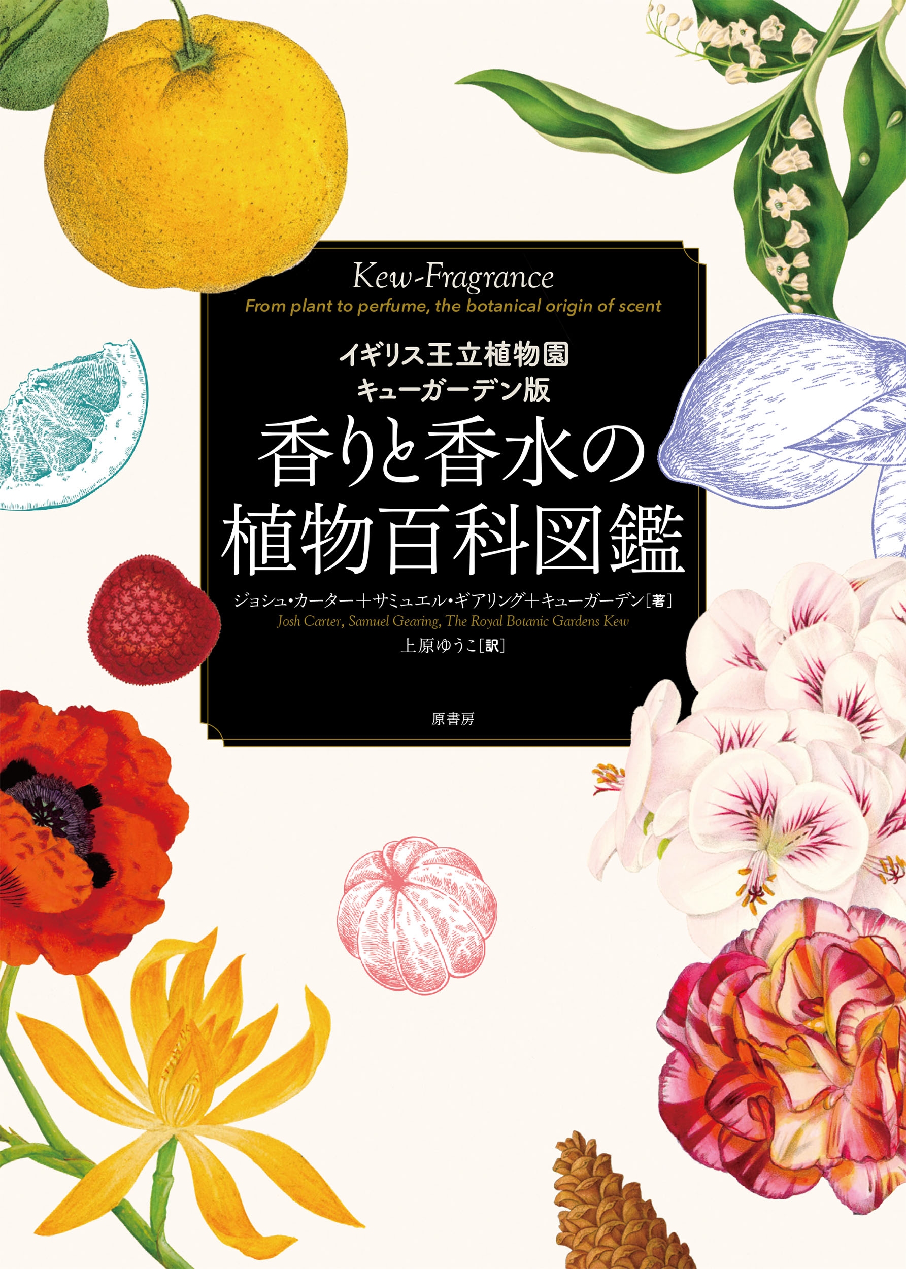 酵母ラボマニュアル 酵母分子細胞生物学実験法  /シュプリンガ-・ジャパン/山本正幸（生物学）（単行本） 酵母ラボマニュアル 酵母分子細胞生物学実験法 /シュプリンガ
