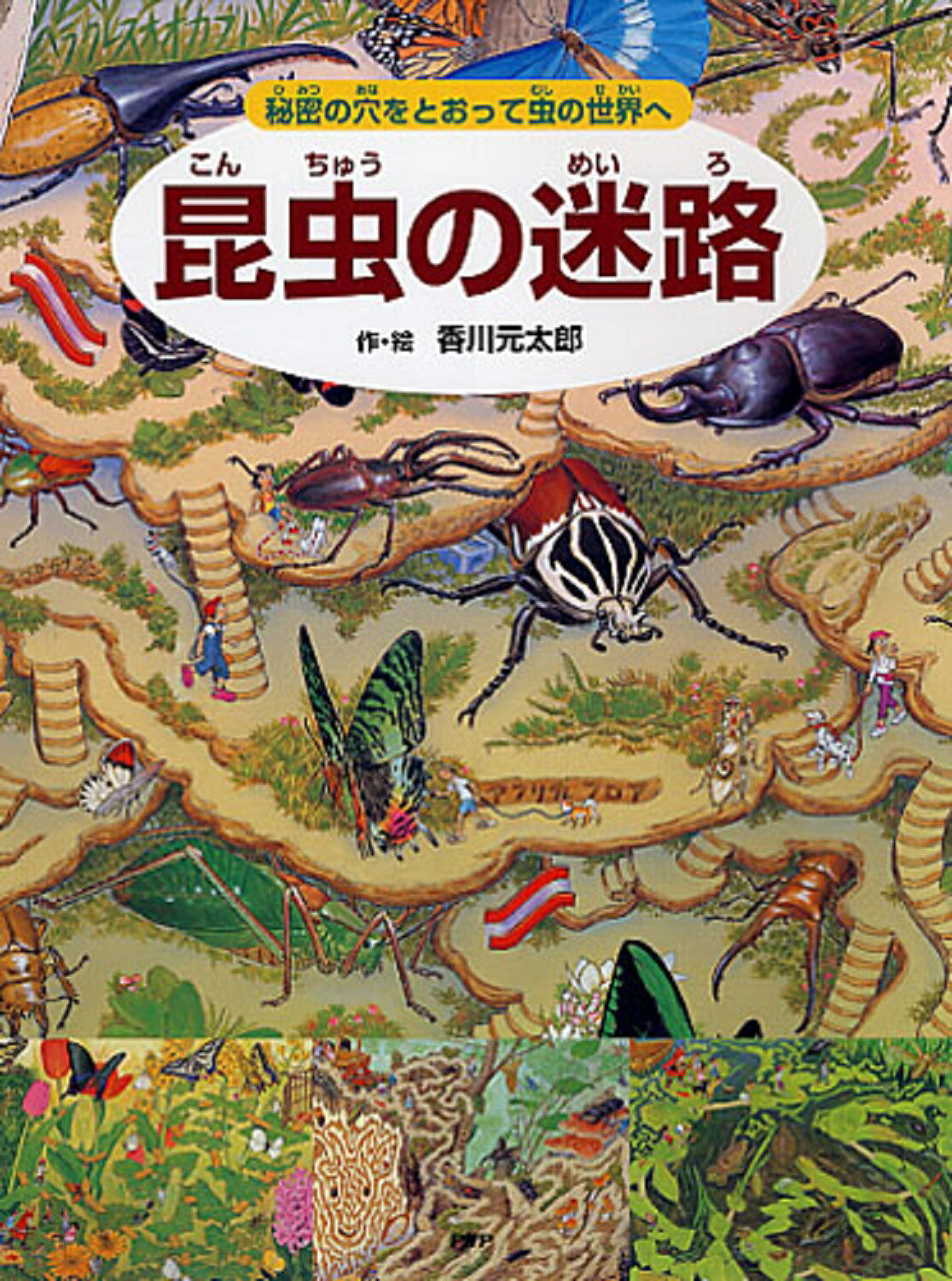 楽天市場 ｐｈｐ研究所 昆虫の迷路 秘密の穴をとおって虫の世界へ ｐｈｐ研究所 香川元太郎 価格比較 商品価格ナビ