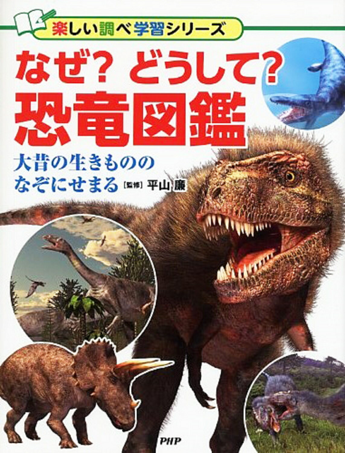 【絶版】清末中琉日関係史の研究 新羅中古期の史的研究 [978-4-585-22278-1] - 13,200円 : 株式