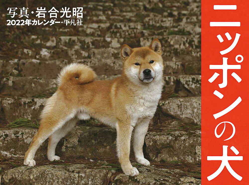 楽天市場 平凡社 ニッポンの犬カレンダー ２０２２年 平凡社 岩合光昭 価格比較 商品価格ナビ