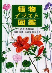 楽天市場】海游舎 蜂からみた花の世界 四季の蜜源植物とミツバチ