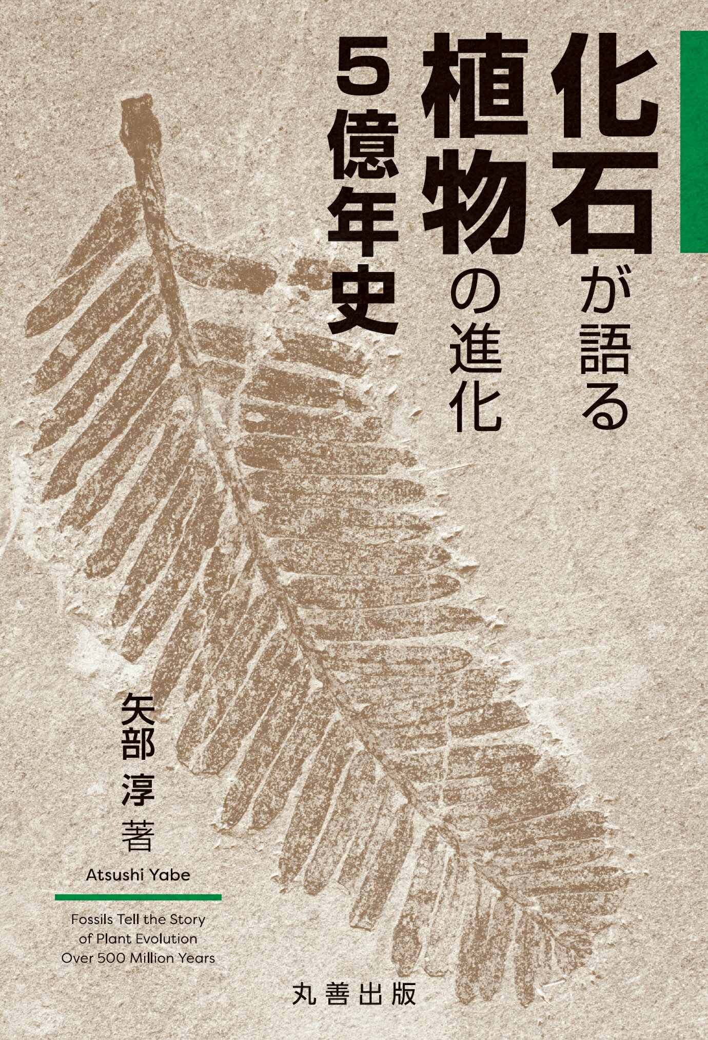 熱河生物群化石図譜 : 羽毛恐竜の時代 熱河生物群化石図譜: 羽毛恐竜の時代 | 張 弥曼, 池田 比佐子
