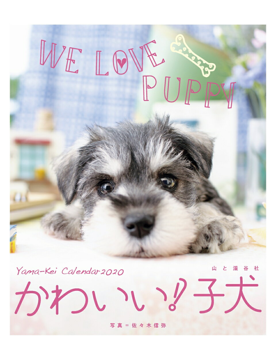 楽天市場 山と渓谷社 かわいい 子犬カレンダー ２０２０ 山と渓谷社 価格比較 商品価格ナビ