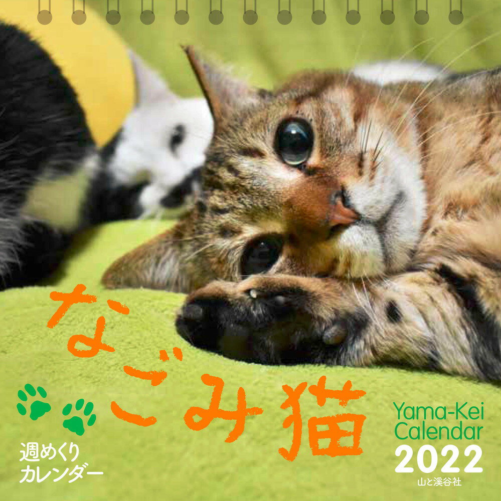 週めくりカレンダーなごみ猫カレンダー ２０２２ /山と渓谷社