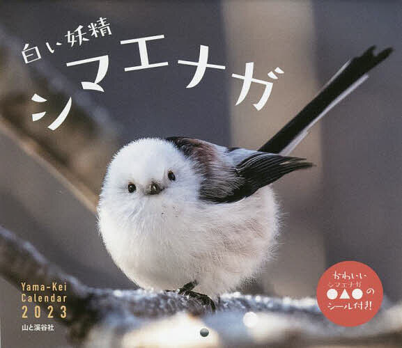 楽天市場】山と渓谷社 カレンダー2023 白い妖精シマエナガ (月めくり/壁掛け) | 価格比較 - 商品価格ナビ