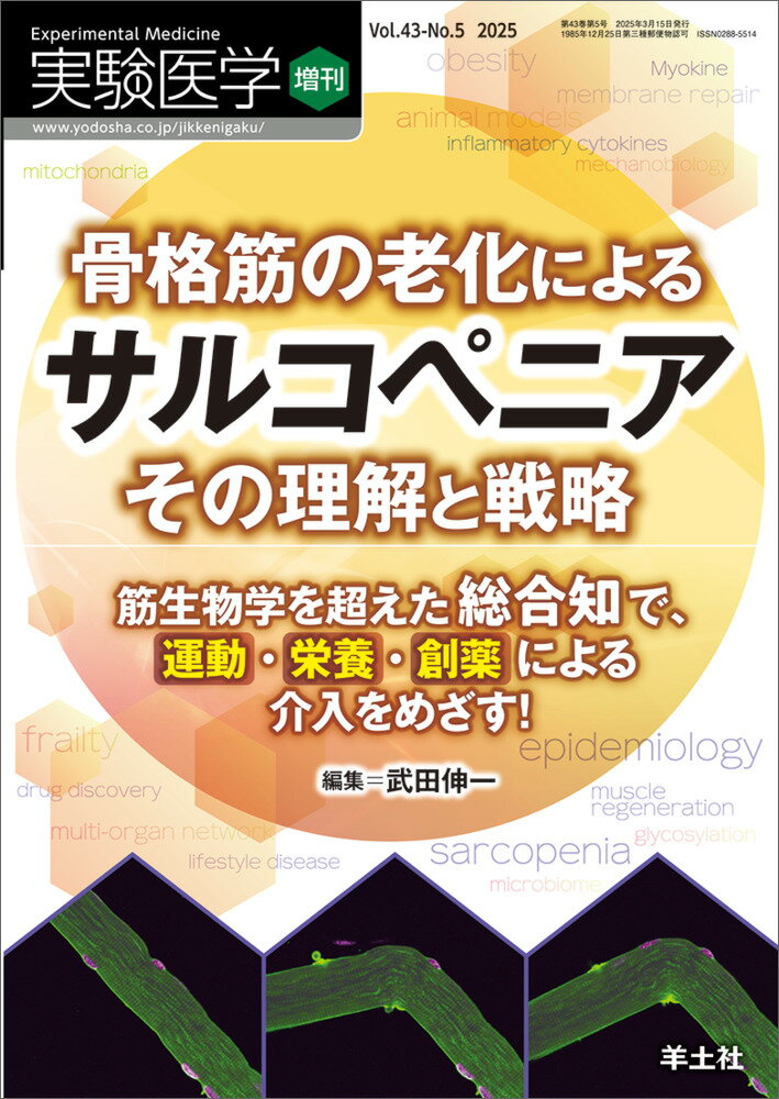 楽天市場】鍬谷書店 新デルマトームの基礎と応用 古代人はツボに