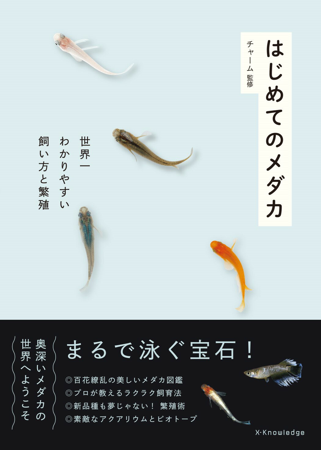 楽天市場】誠文堂新光社 ザ・プレコ 吸いつきナマズの飼育と楽しみ方/誠文堂新光社/竹本賢司 | 価格比較 - 商品価格ナビ