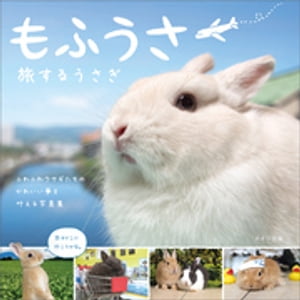 集英社 - うさ 楽天市場】グラフィック社 うさぎのヒミツ/グラフィック社/樋口