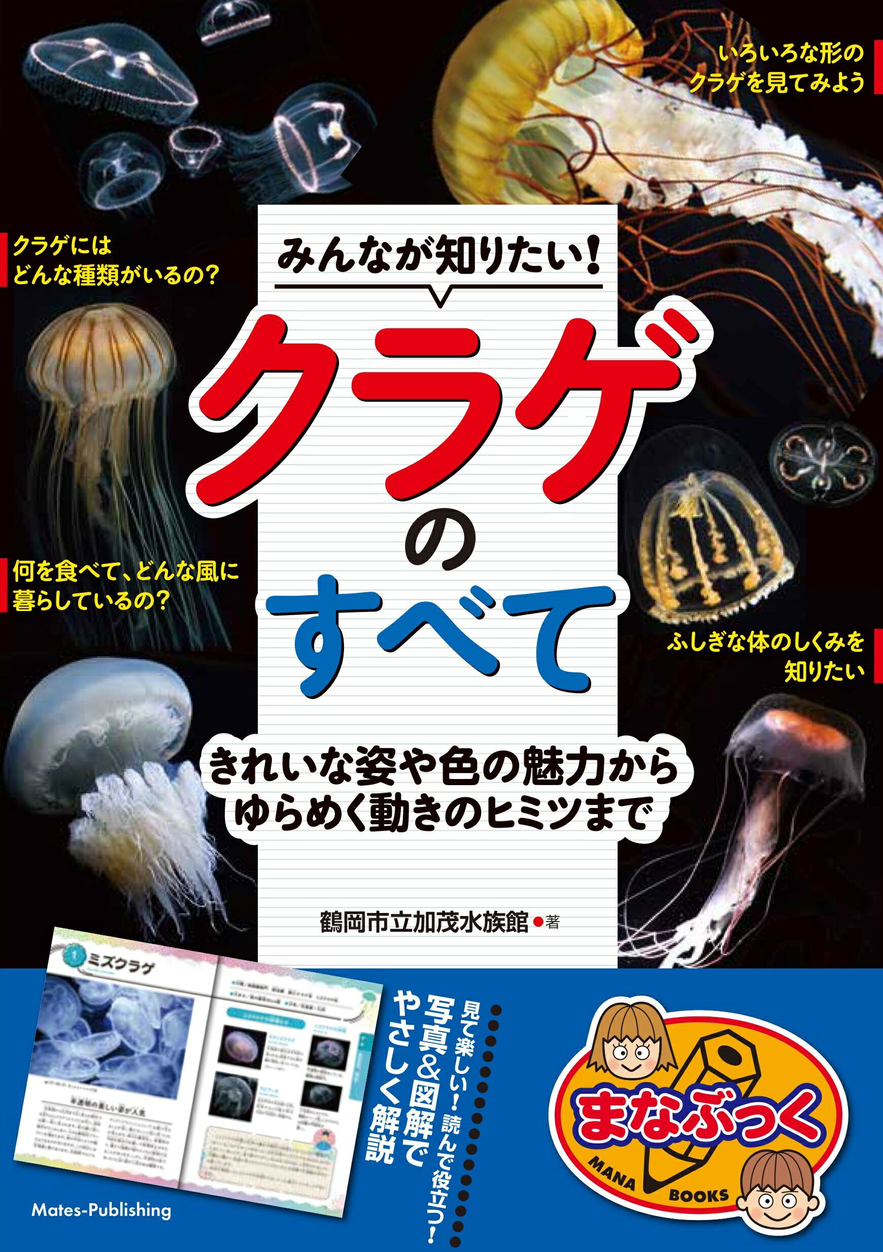 みんなが知りたい！クラゲのすべて きれいな姿や色の魅力からゆらめく動きのヒミツまで/メイツユニバ-サルコンテンツ/鶴岡市立加茂水族館
