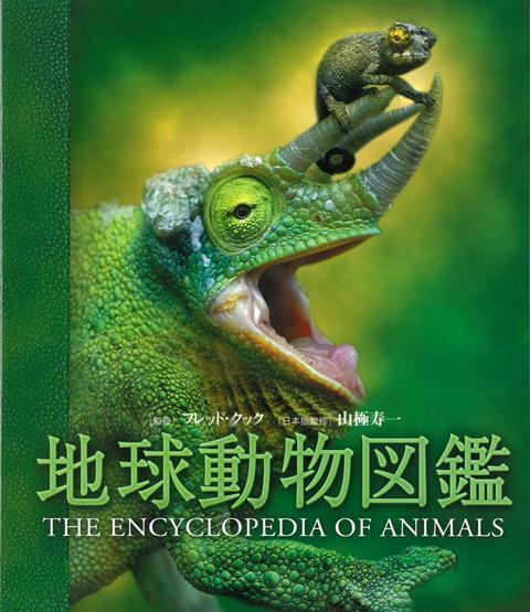 楽天市場 新樹社 新宿区 地球動物図鑑 哺乳類 鳥類 爬虫類 両生類 魚類 無脊椎動物 新樹社 千代田区 フレッド クック 価格比較 商品価格ナビ