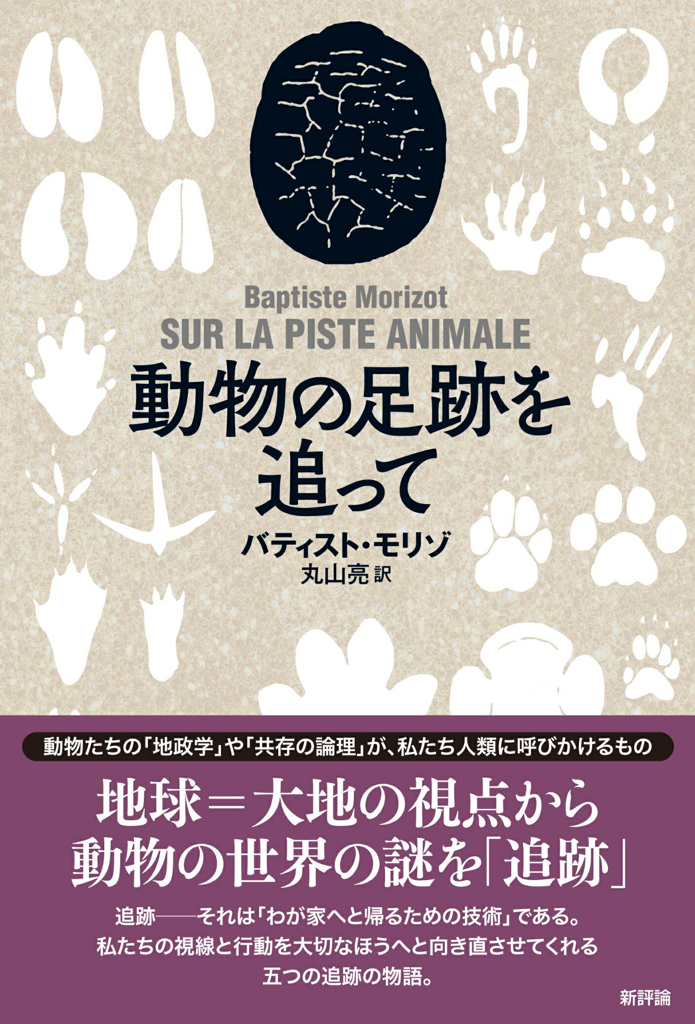 C115 日本近海産貝類図鑑 第二版 図版 解説 2冊 セット 箱なし【品