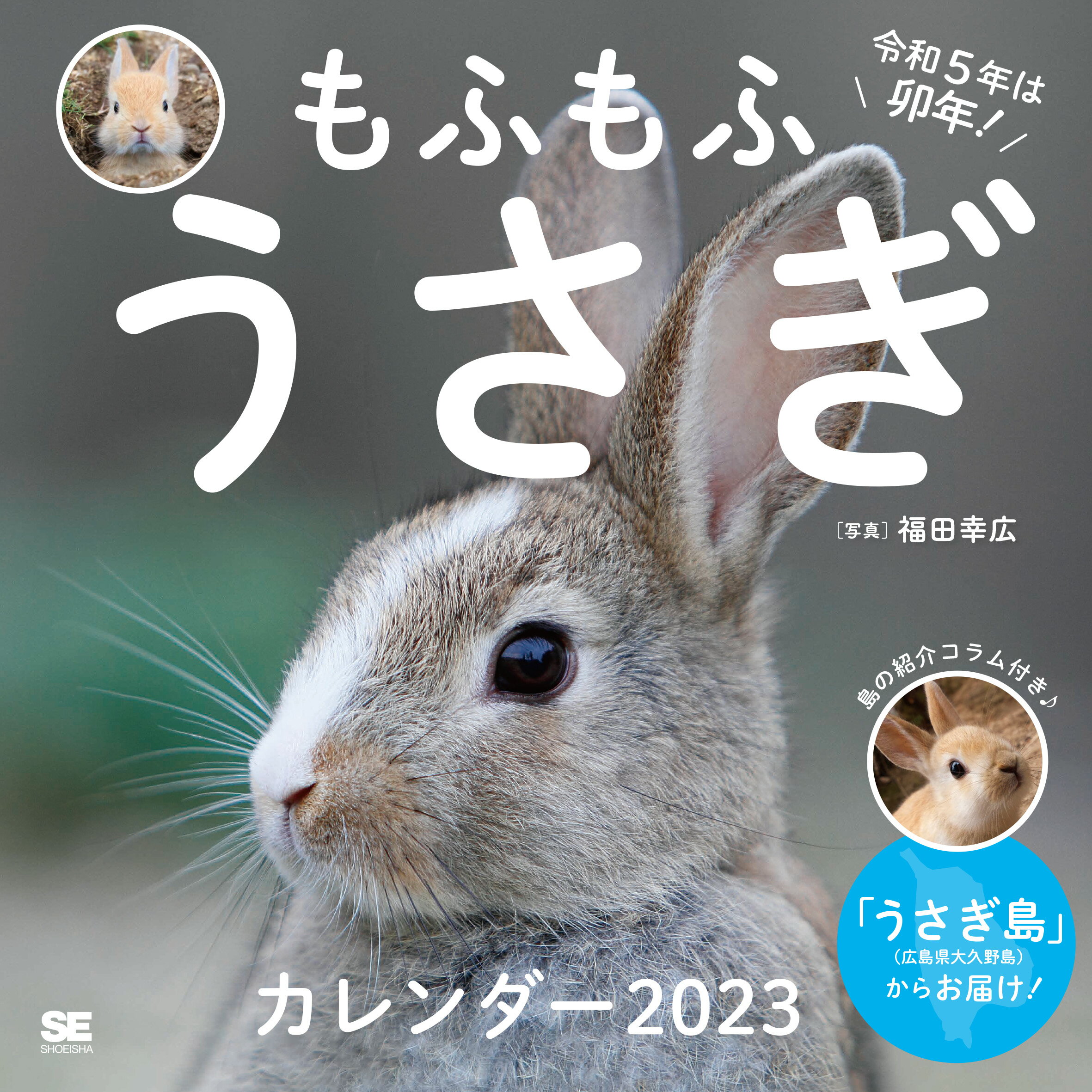 楽天市場】アクティブコーポレーション Sweet Rabbit うさぎ 2023 Calendar 壁掛けカレンダー2023年 スケジュール  アクティブコーポレーション 動物写真 書き込み インテリア 令和5年暦 | 価格比較 - 商品価格ナビ