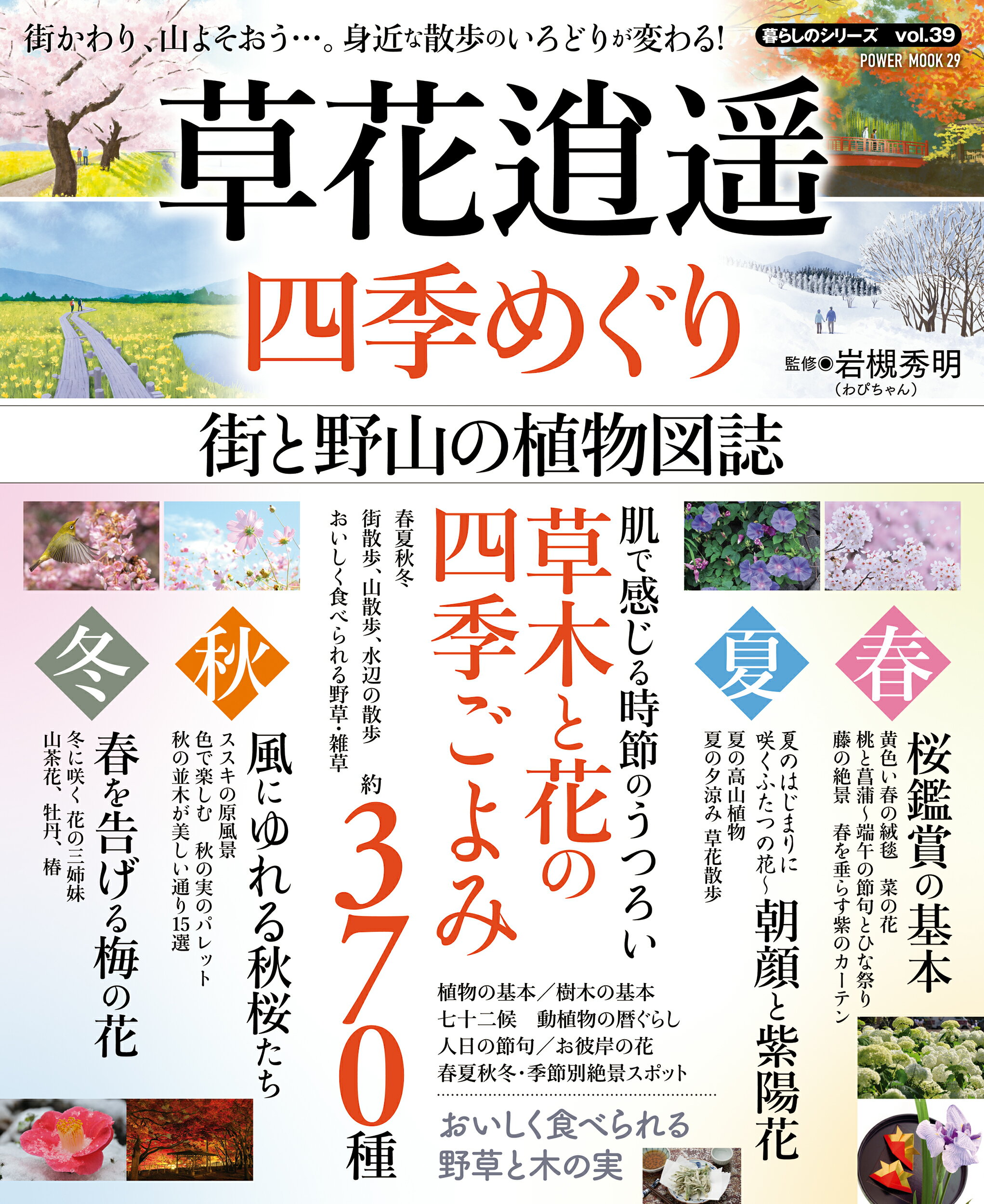 蜂からみた花の世界／佐々木正己著（海遊舎） 91pVQDg7oiL.jpg
