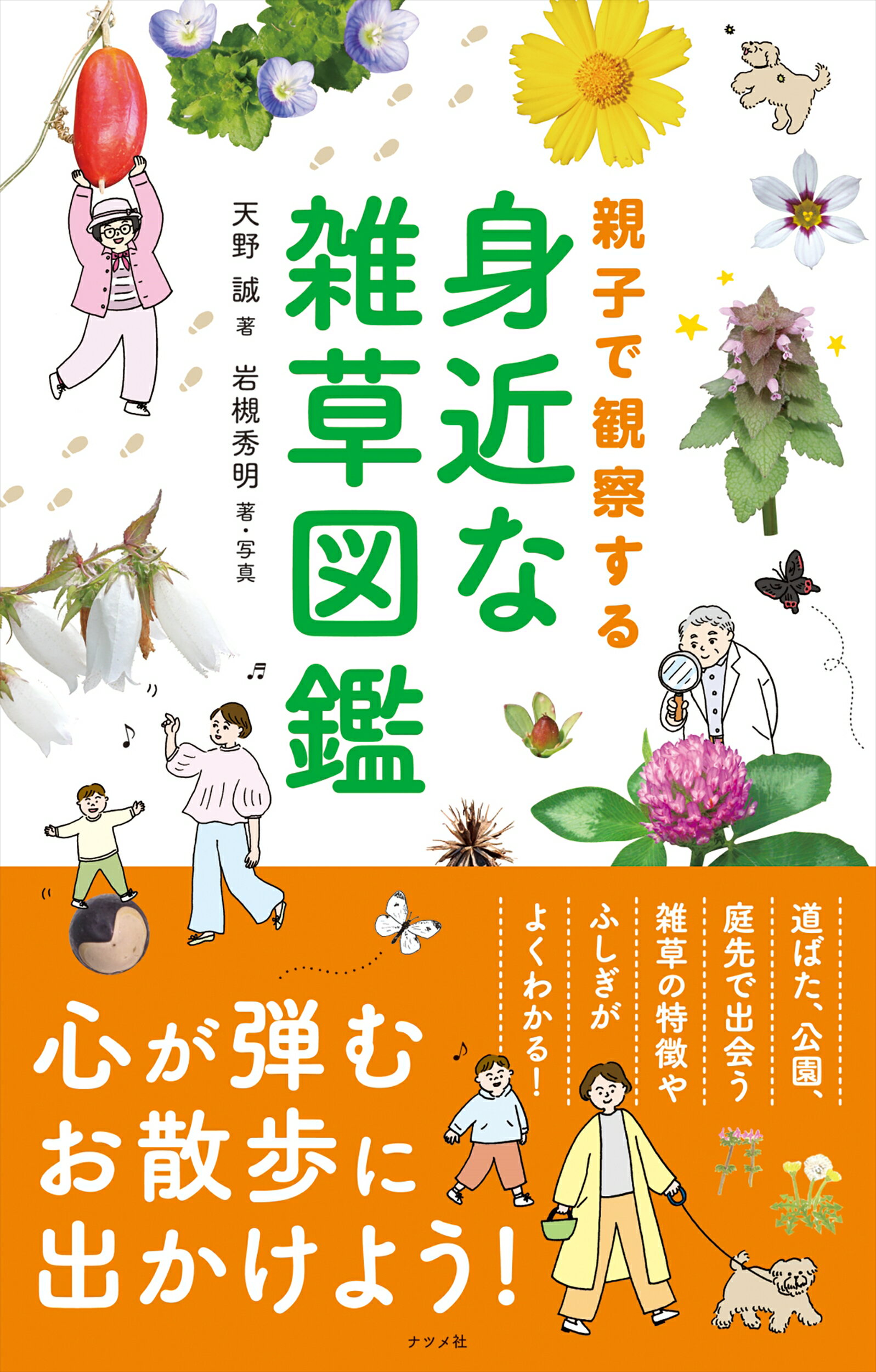 楽天市場 ナツメ社 親子で観察する身近な雑草図鑑 ナツメ社 天野誠 価格比較 商品価格ナビ