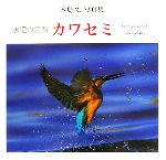 楽天市場 日本カメラ社 水辺の宝石カワセミ 木島宏写真集 日本カメラ社 木島宏 価格比較 商品価格ナビ