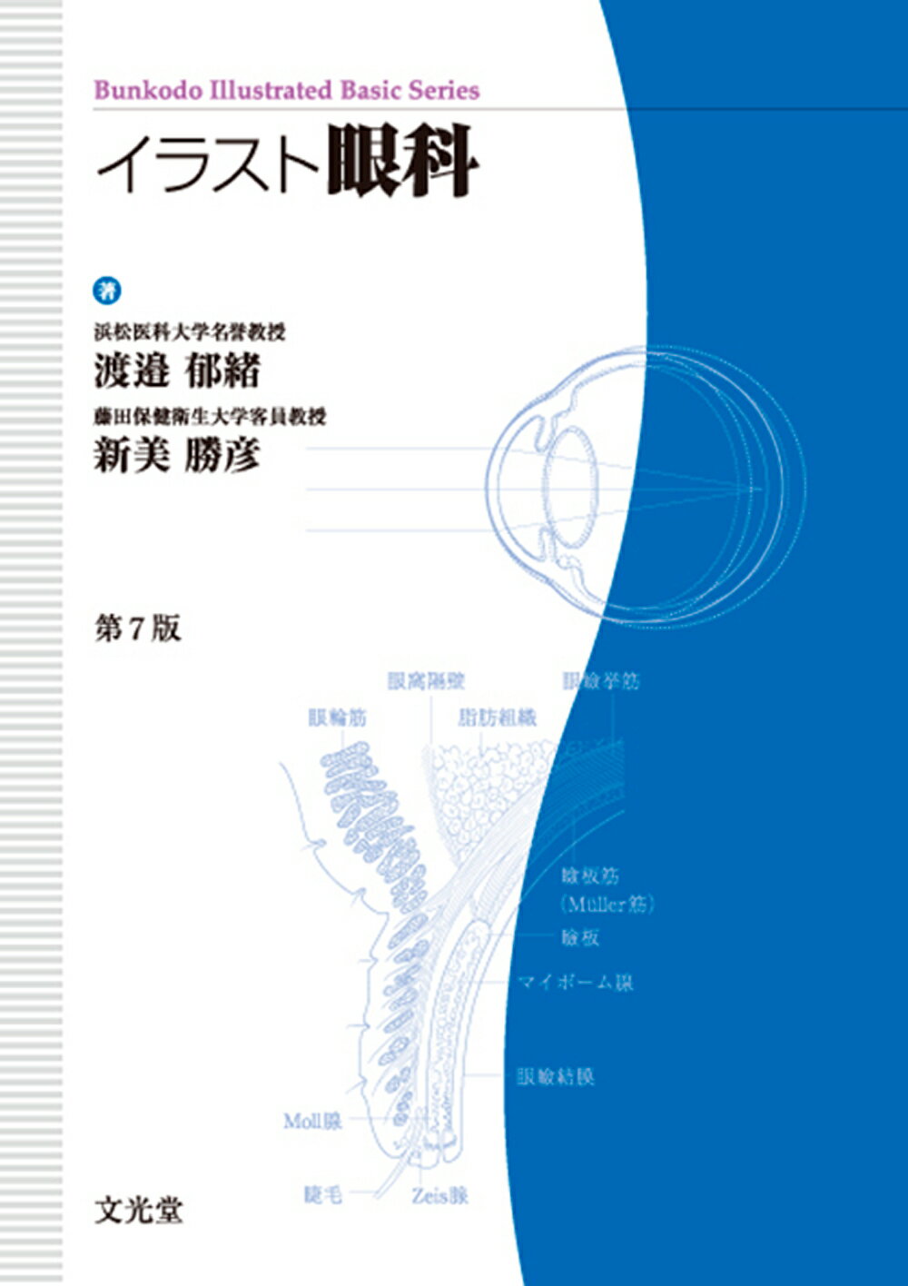 R⑤ イラスト耳鼻咽喉科 第3版 森満保 文光堂 楽天市場】文