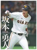 楽天市場 報知新聞社 ジャイアンツ坂本勇人カレンダー ２０１８ 報知新聞社 価格比較 商品価格ナビ