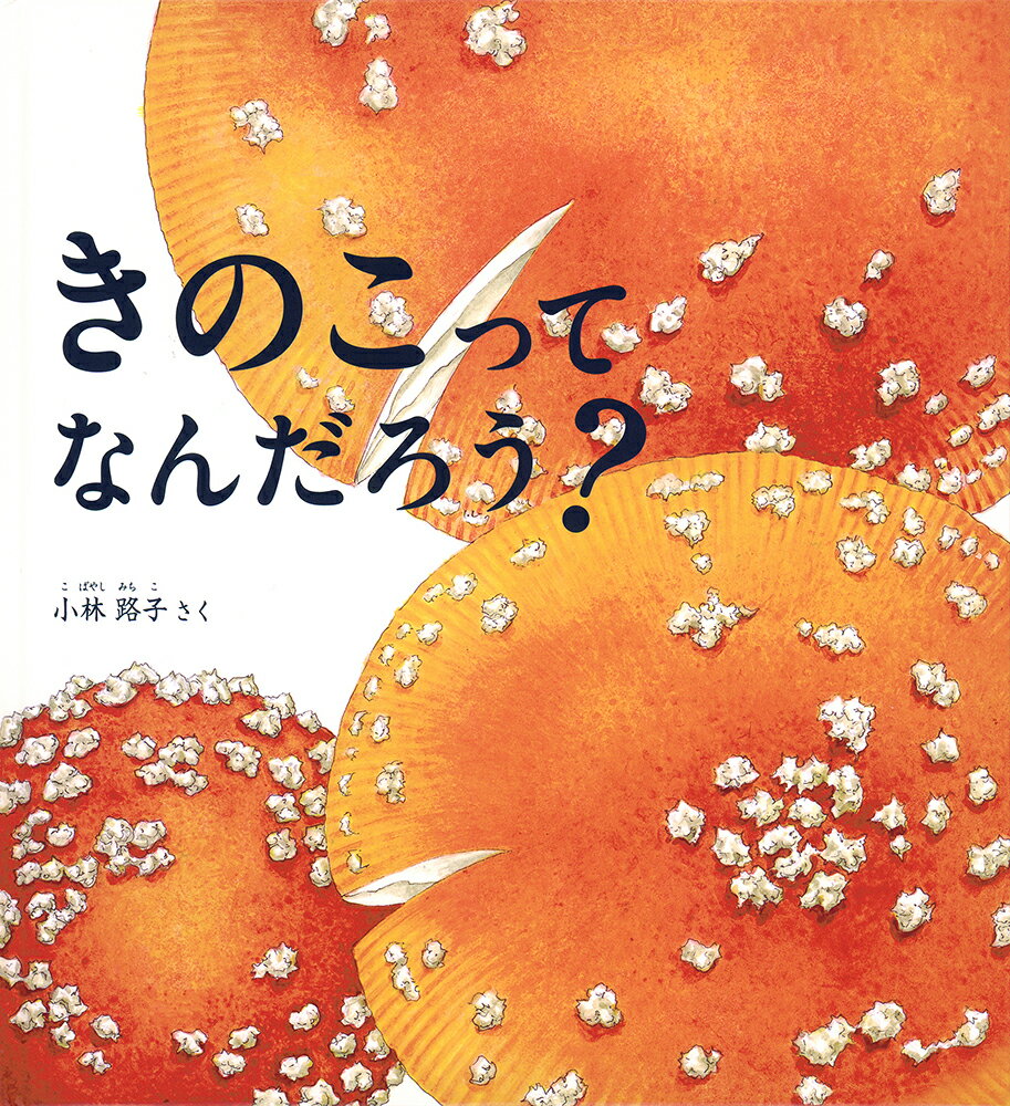 蜂からみた花の世界／佐々木正己著（海遊舎） 蜂からみた花の世界／佐々木正己著（海遊舎） 蜂からみた花の
