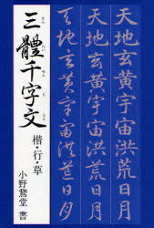 楽天市場】二玄社 北魏楷書字典/二玄社/梅原清山 | 価格比較
