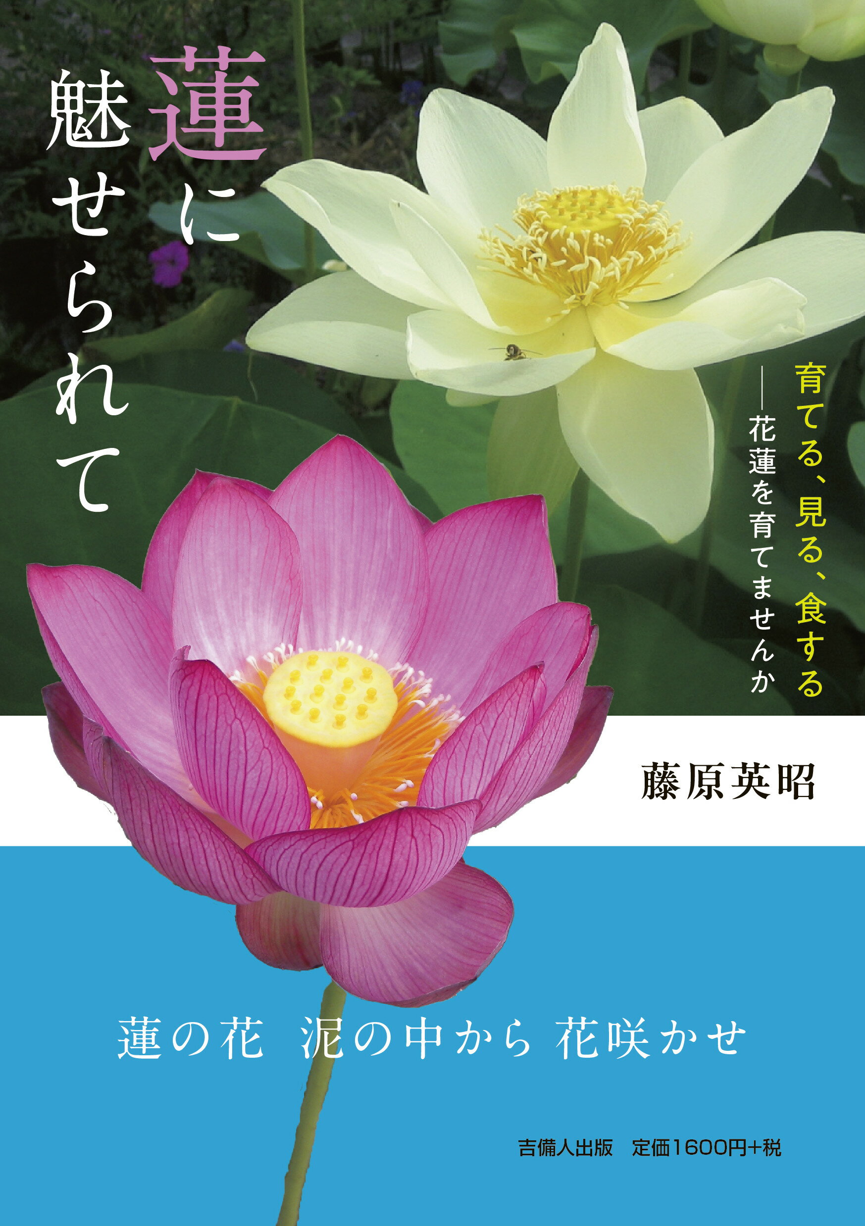 楽天市場】海游舎 蜂からみた花の世界 四季の蜜源植物とミツバチ