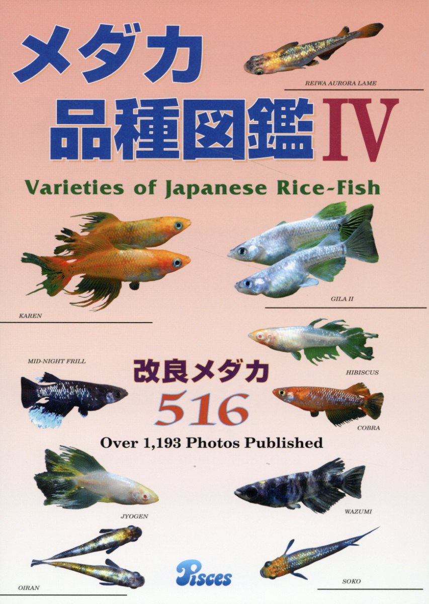 楽天市場】誠文堂新光社 ザ・プレコ 吸いつきナマズの飼育と楽しみ方/誠文堂新光社/竹本賢司 | 価格比較 - 商品価格ナビ