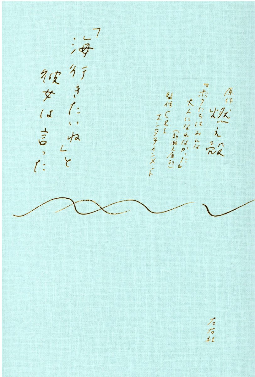 楽天市場 左右社 海行きたいね と彼女は言った 左右社 燃え殻 価格比較 商品価格ナビ