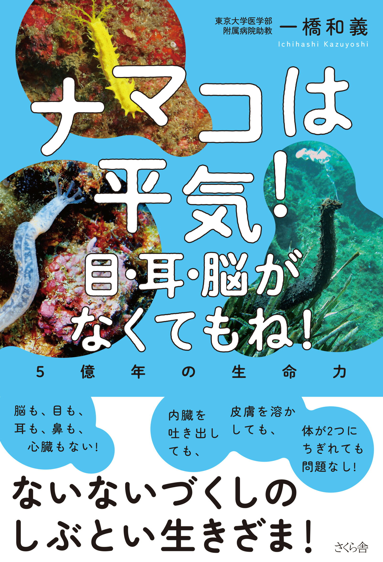 楽天市場】北隆館 最新日本列島の蝶類図鑑/北隆館/伊藤隆夫（理学