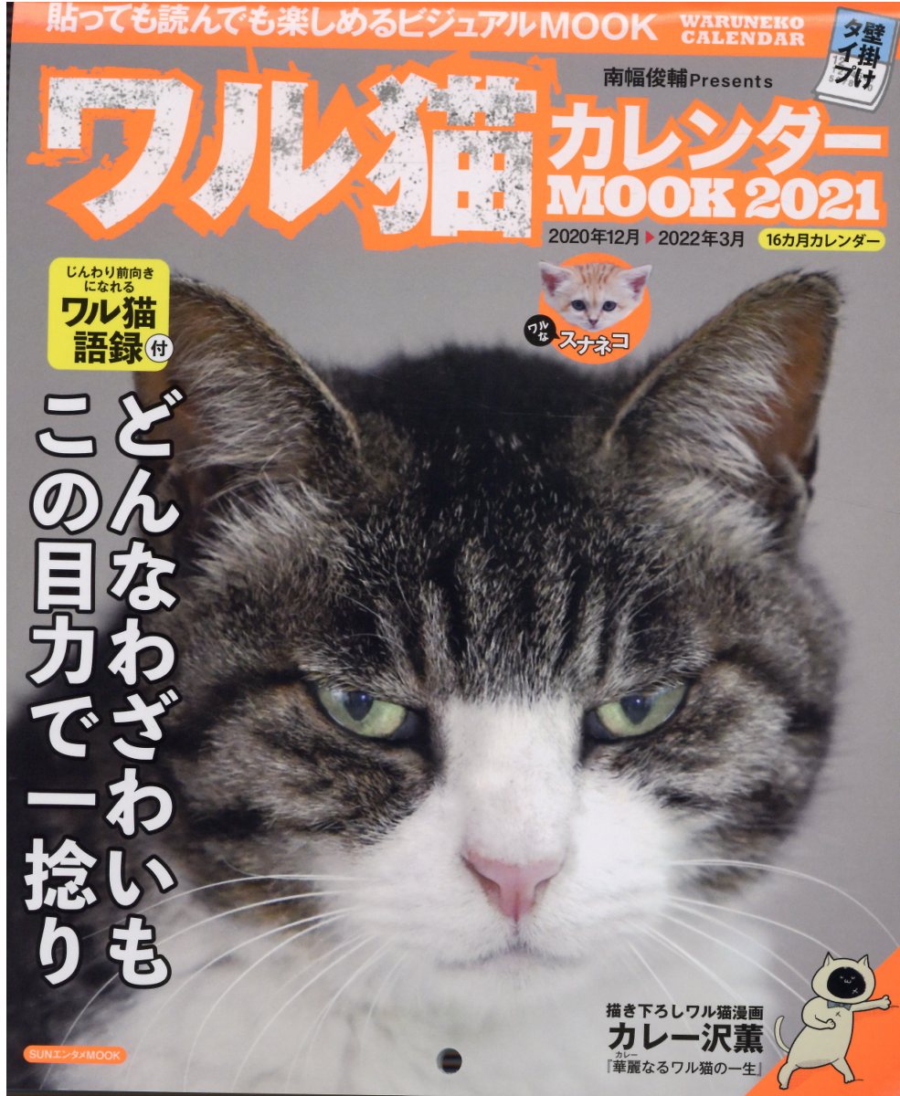 猫 人気 雑誌 カレンダー