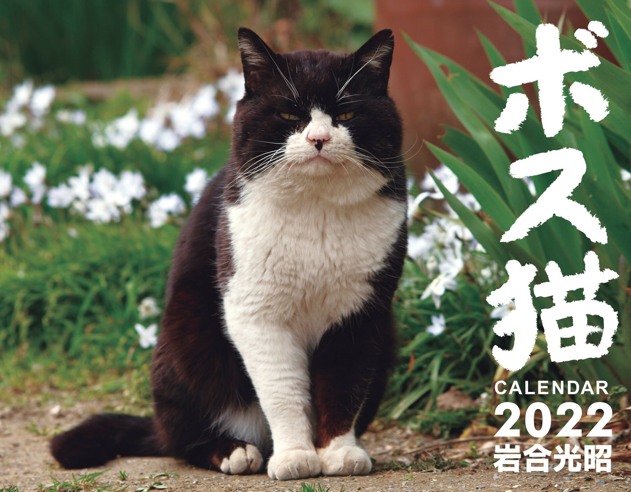 Botop パズル猫のお花見1000枚  新品未開封 EPO-28-051s ペット・動物 おすましねこちゃん 300ピース