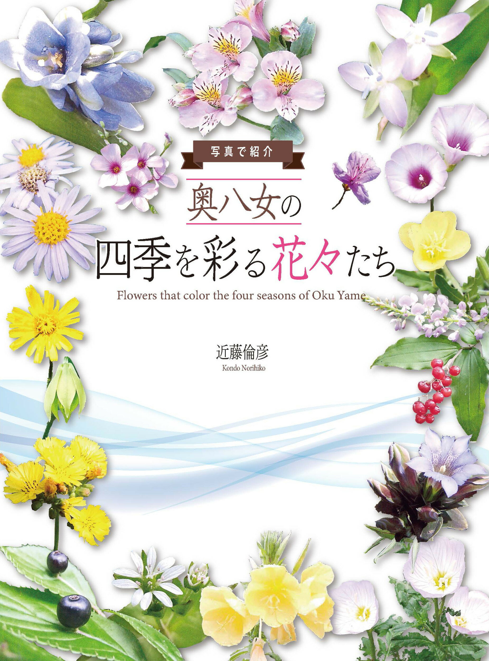 楽天市場】日本緑化センター 最新・樹木医の手引き 改訂４版/日本緑化