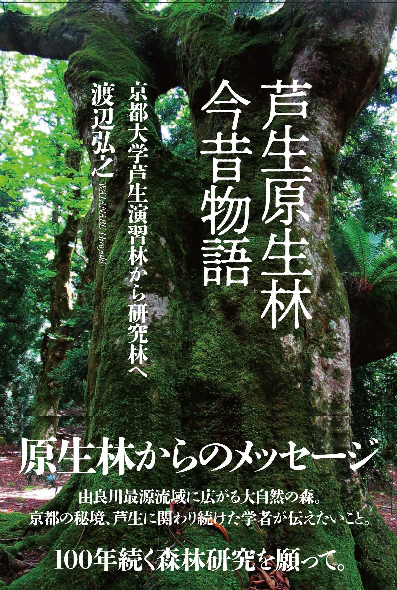 【楽天市場】あっぷる出版 芦生原生林今昔物語 京都大学芦生演習林から研究林へ あっぷる出版社 渡辺弘之 価格比較 商品価格ナビ