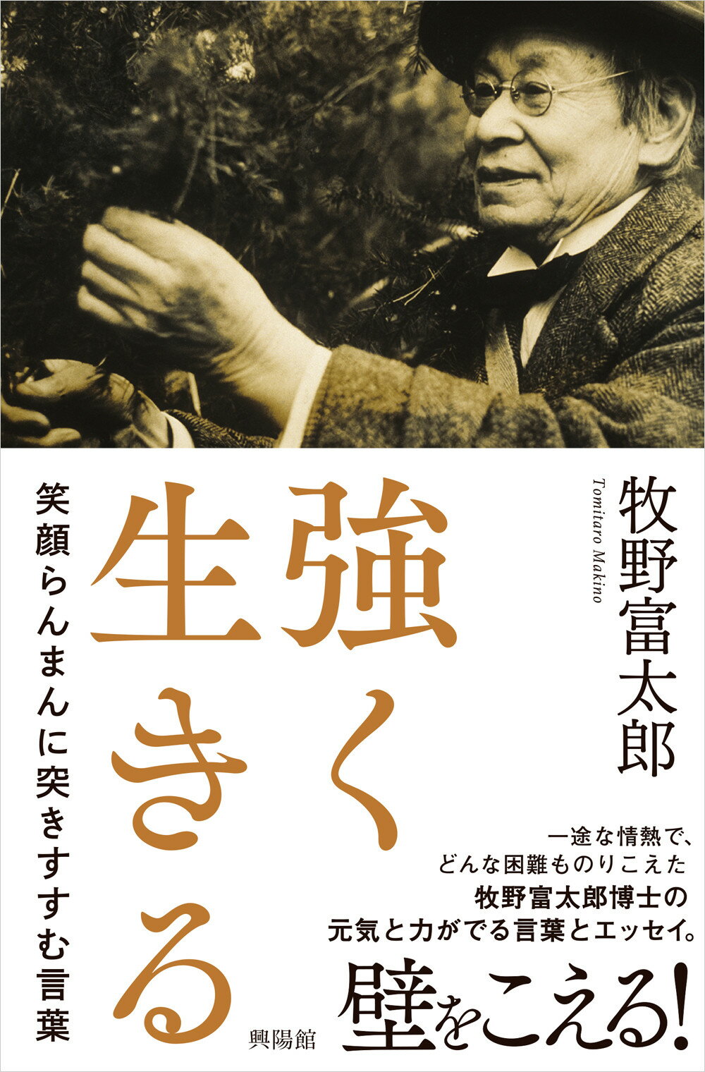 楽天市場】興陽館 明日の神話 1967-2023 | 価格比較 - 商品価格ナビ