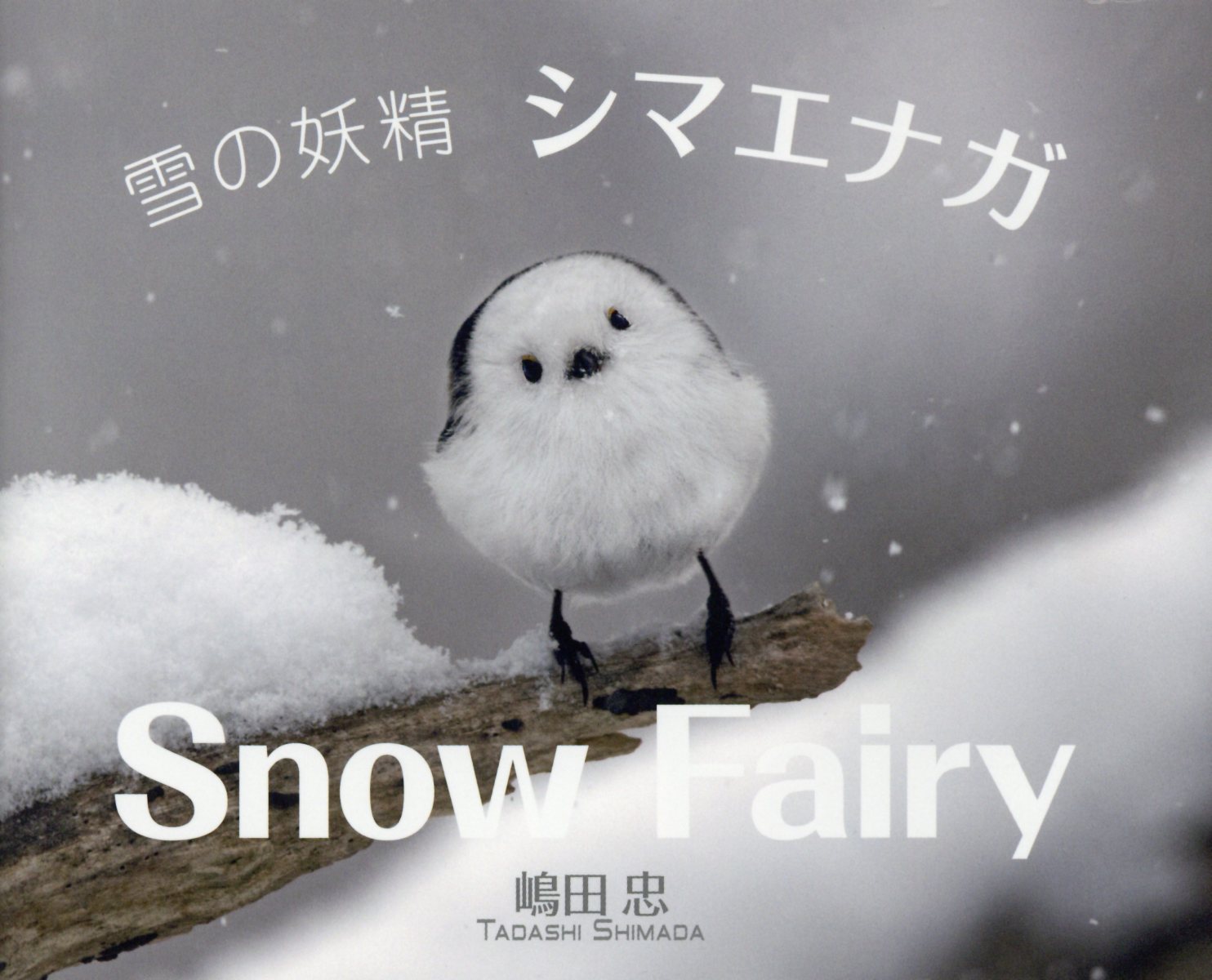 楽天市場 まんまるかわいい雪の妖精シマエナガちゃんｃａｌｅｎｄａｒ ２０２１ インプレス 価格比較 商品価格ナビ