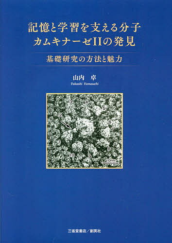 楽天市場 記憶と学習を支える分子カムキナーゼ２の発見 基礎研究の方法と魅力 創英社 三省堂書店 山内卓 価格比較 商品価格ナビ