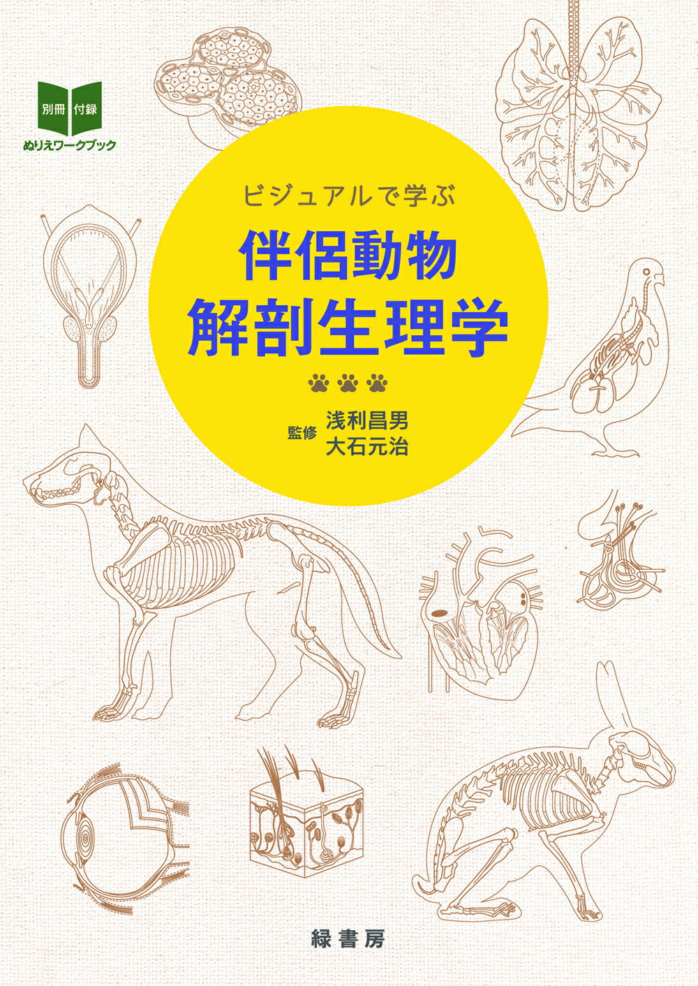 楽天市場】自然社 ビジュアルで学ぶ伴侶動物解剖生理学/緑書房（中央区