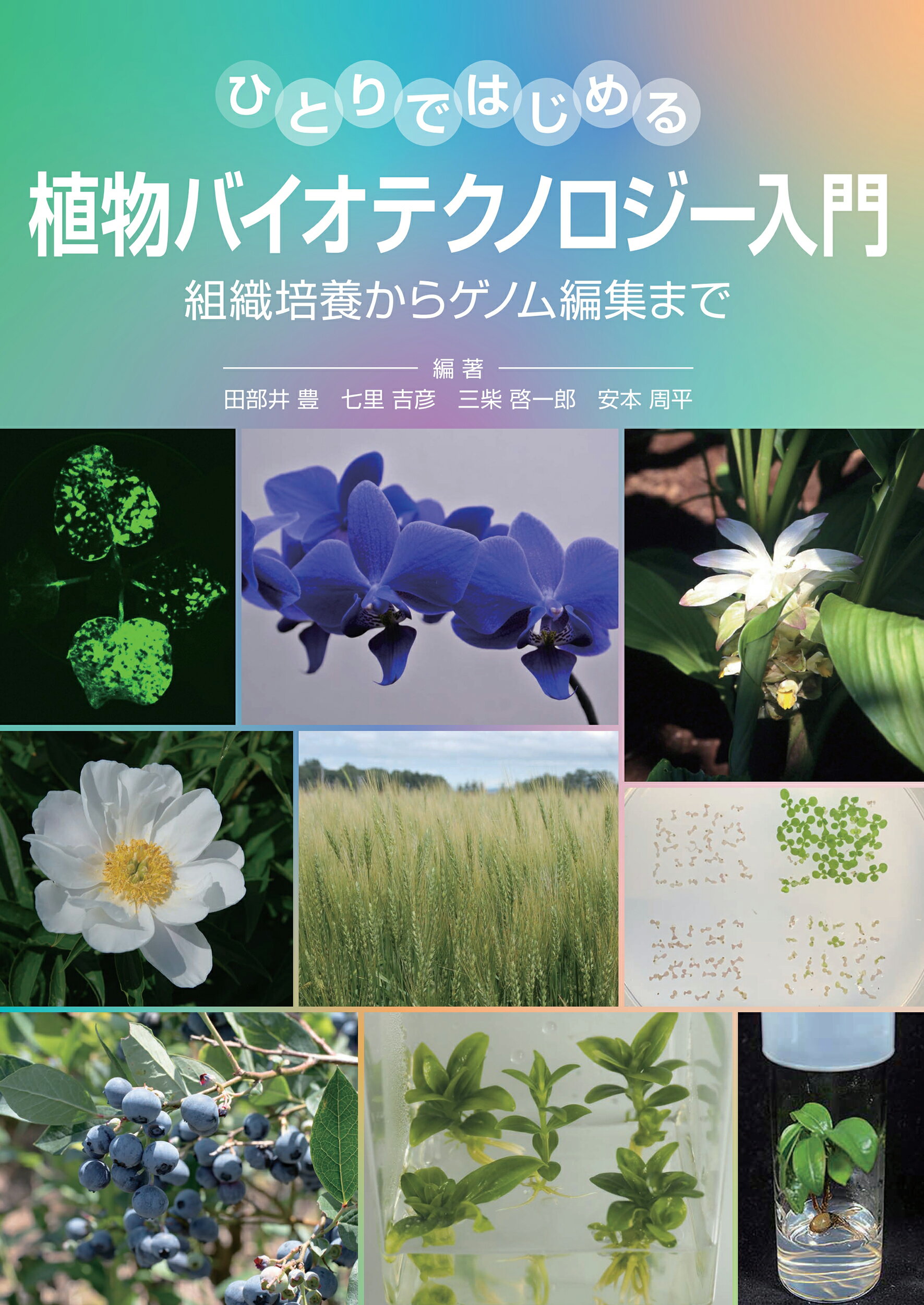 ひとりではじめる植物バイオテクノロジー入門 組織培養からゲノム編集まで/国際文献社/田部井豊