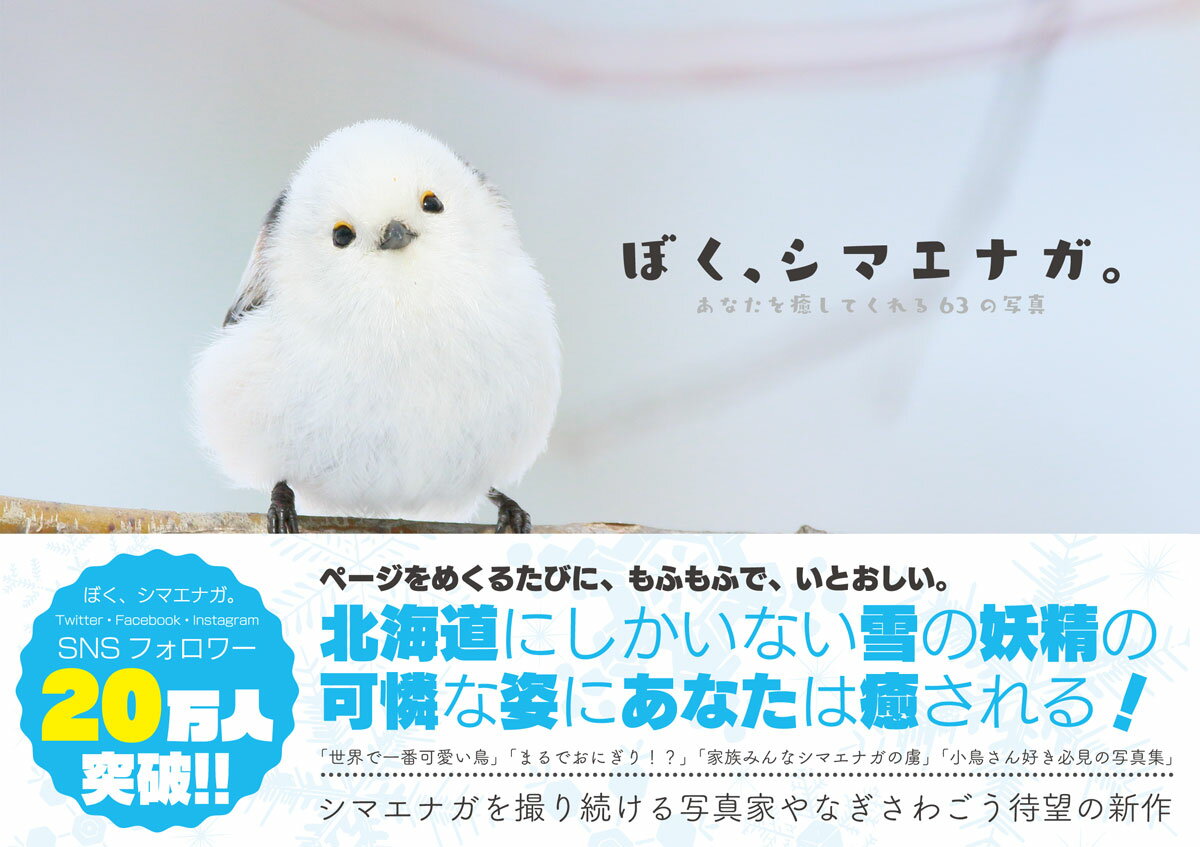 楽天市場 ぼく シマエナガ あなたを癒してくれる６３の写真 しずく書房 やなぎさわごう 価格比較 商品価格ナビ