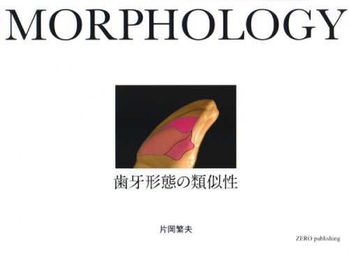 楽天市場】MORPHOLOGY 歯牙形態の類似性 本/雑誌 / 片岡繁夫/著 | 価格比較 - 商品価格ナビ