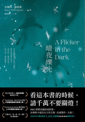 暗夜爍光 A Flicker in the Dark 史黛西．威林漢