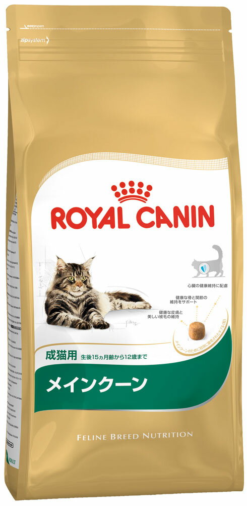 海外最新 ロイヤルカナン 10kg 成猫用 メインクーン - 成猫用