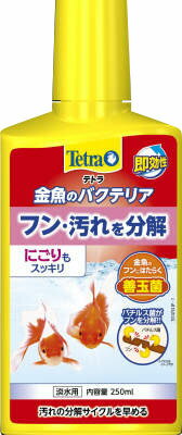 楽天市場 テトラ 金魚のバクテリア 250ml 価格比較 商品価格ナビ