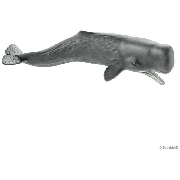 楽天市場】シュライヒ Wild Life マッコウクジラ 14764マツコウクジラ 