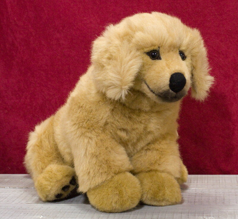 楽天市場 ゴールデンレトリバーの赤ちゃん 座り Kosen ケーセン社 Golden Retriever Puppy 価格比較 商品価格ナビ