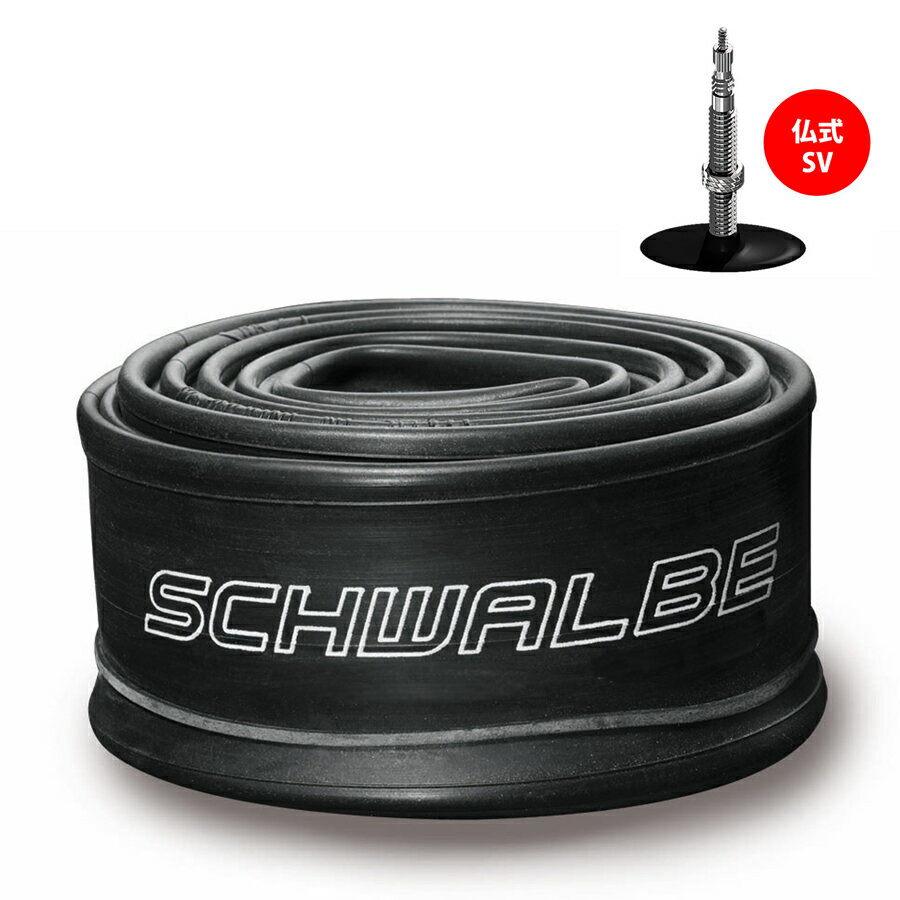 楽天市場】シュワルベ SCHWALBE 20×1.10/1.50、20×11/8 406 用チューブ 米式 40mmバルブ 6AV | 価格比較 -  商品価格ナビ